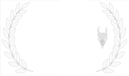Winner Best Director Macabro